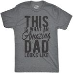 Mens This Is What An Amazing Dad Looks Like T shirt Funny Fathers Day Cool (Light Heather Grey) - XL