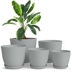 Utopia Home Pack of 5 - Plastic Plant Pots - Planters for Indoor Plants Saucer Tray - Nursery Pots Indoor with Drainage Holes,Succulent Pot (Grey)