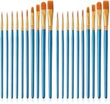 Quelcc 20 Pcs Paint Brushes, Paint Brush Set, Paint Brush, Small Paint Brushes, Acrylic Paint Brushes, Paint Brushes Art, Different Sizes, for Acrylic Oil Watercolor Gouache Face Painting(Blue)