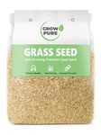 Grass Seed (500g Covers up to 30 sqm) Fast Growing Grass Seed for Quick Lawn Patch Repair and New Lawns. 500g Hard Wearing Grass Seed Suitable for Shade and UK Climate.