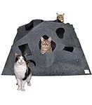 Moyubath Cat Play Mat,Collapsible Cat Activity Play Pad,Fun Interactive Pet Rug Training Scratching Grooming Bed