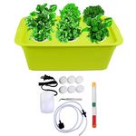 Yellow Tommy Hydroponics Kit with Air Pump for Indoor, Outdoor Gardening, Soil Less Cultivation (6 Holes)