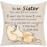 Sister Pillowcase Gifts from Sister Brother Best Friend Birthday Christmas Cushion Cover Throw Pillow Cover Decoration