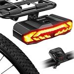 WSDCAM Smart Bike Tail Light for Ca