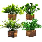 DecoreBugs Artificial Potted Plants in Wooden Pot (4 Pack) Eucalyptus Plants Small Plants for Home Decor | Office Decor |DB-8148