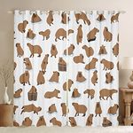 Capybaras 30%-50% Blackout Curtain Room Darkening Shades Cute Animals Lovers Curtain for Bedroom Living Room Boys Girls Cutes Capybara Decor Window Drapes Funny Window Treatment (2 Panels,42"x63")