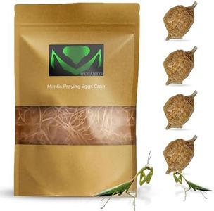 USMANTIS Praying Mantis Ootheca Egg Case with Hatching Habitat Bag