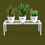 Urban Plant Apollo Metal Plant/Pot Stand for Garden | Planter Stand for Indoor & Outdoor | Flower Pot Stand for Balcony | Living Room Decor (White Pack of 1)…