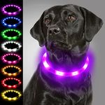 Joytale Light Up Dog Collar,LED Flashing Dog Collar for Night Walking, Rechargeable Glow Collars for Puppy Small Medium and Large Dogs,Purple