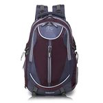 HEROZ Harrow 45 Ltrs Travel Laptop Backpack Slim Durable College School Computer Bookbag tracking for Women Men Boys Outdoor Camping Fits Up to 17.3-inch laptop (Grey & Wine)