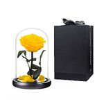 Preserved Rose Yellow Real Rose in Glass Dome, Roses Valentines Day Gifts for Her, Birthday Gifts for Women, for Wife, for Her