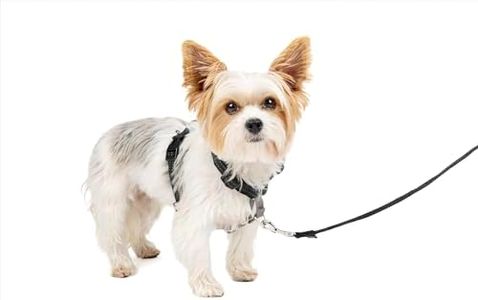 PetSafe 3in1 Harness, from the Makers of the Easy Walk Harness, Fully Adjustable No-Pull Dog Harness, Black, Extra Small