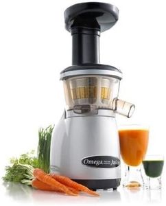 Omega VRT330 Dual-Stage Vertical Single-Auger Low-Speed Juicer