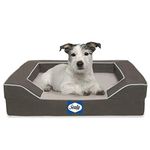 Sealy Memory Foam Dog Beds