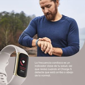 Fitbit Charge 5 Activity Tracker – Steel Blue