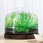 PONDON 2 Gallon Fish Bowl Vase, Gla