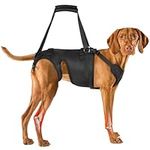 Visinite Dog Lift Harness for Large