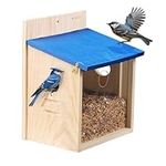 Navaris Wooden Bird Feeder House - Wall Mounted Garden Decor for Birds with Blue Roof - Outdoor Feeding Station with Exchangeable Wood and Clear Front Panels