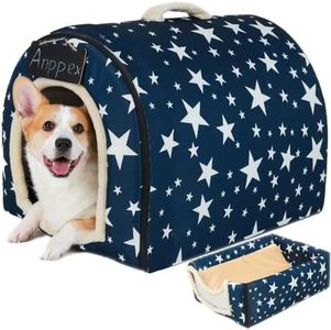 ANPPEX Dog