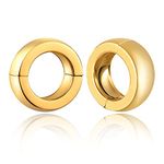 Casvort 2 PCS Womens Anti-allergic Elegant Hoop Ear Hangers Weights 316 Stainless Steel Ear Plugs Body Jewelry Piercing Dangle Gauges Tunnles 6g/2g/0g/00g, Metal, Sandstone