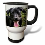 3dRose LLC. tm_48741_1 Mugs, White