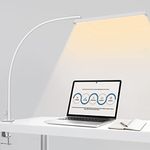 Gooseneck Clamp Lamp