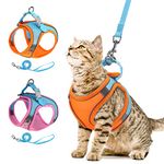 AMIR Cat Harness and Leash, Breathable Cat Leash Escape Proof and Adjustable with Reflective Strap, Suitable for 6-10 Pounds of Cats & Small Dogs- Orange (Size XS)