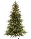 WeRChristmas Pre-lit Traditional Fir Multi-Function Christmas Tree, 450 Chasing Warm LED, Colour, 7 feet/2.1m