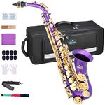 EASTROCK Alto Saxophone for Beginner, E Flat Purple Lacquer Alto Saxophone, E Key Sax with Hard Case Mouthpiece Pads Neck Strap Reeds Cleaning Cloth Gloves (Purple)