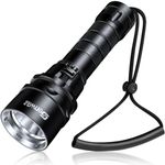 Genwiss Diving Torch, 2000 Lumens Underwater Torch, Scuba Diving Torch Light Rechargeable, Underwater 80 Meters Waterproof LED Flashlight White Submersible Lights for Night Dive Caving