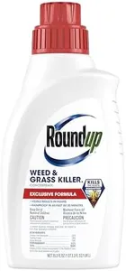 Roundup We