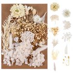 QINREN Real Dried Flowers Leaves, Natural Dried Flowers Mixed Artificial Everlasting Flowers for DIY Candle Resin Jewelry Nail Pendant Crafts Making Art Floral Decorations