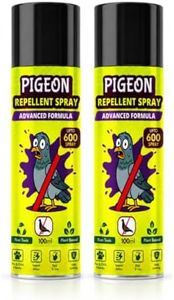 Pigeon Rep