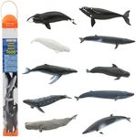 Safari Ltd. TOOB - Whales - Realistic Hand Painted Toy Figurine Models - Quality Construction from Phthalate Lead and BPA Free Materials - For Ages 3 and Up