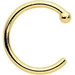 Body Candy Tiny Nose Ring Hoop 20 G