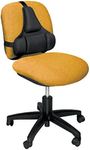 Fellowes Professional Series Ultimate Back Support