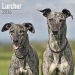 Lurcher Calendar - Just Lurcher Calendar - 2016 Wall calendars - Animal Calendars - Monthly Wall Calendar by Avonside