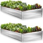 Galvanized Raised Garden Bed Outdoor // 8×4×1 ft (2-Pack) Planter Boxes Raised Beds for Outdoor Plants, Vegetables, Gardening // Large Metal Raised Garden Bed Kit (Silver) // Tool-Free Assembly