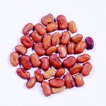 RK Seeds-Sesbania grandiflora- Agati seeds -Sesban, Swamp-pea Seeds - Sesbania grandiflora seeds,Hummingbird Tree seeds, Fodder Seeds -hummingbird tree seeds Pack of 100 g