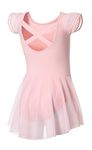 DIPUG Ballet Leotards for Girls Ballet Leotard With Skirt Toddler Dance Leotards Flutter Sleeve and Criss-Cross Back Pink Size 6-8
