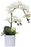 Olrla White Artificial Orchid Plant
