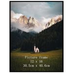 Giftgarden 12x16 Picture Frame Black, 12 by 16 Thin Poster Photo Frame for Wall Display, Single