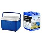 Coleman Performance 6 Personal Cooler, NEW MODEL with hinge lid design, 4 L & KEPLIN 6 Pack Home Freezer Blocks for Family - Long Lasting Reusable Ice Boards - Portable Cool Box Keeps Food, Drink