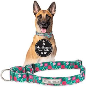 Lucky Love Dog Martingale Dog Collar - Adjustable, No-Slip, Durable, & Soft Webbing Dog Collar for Male and Female Dogs Ideal for Training & Walking - Penny, Large