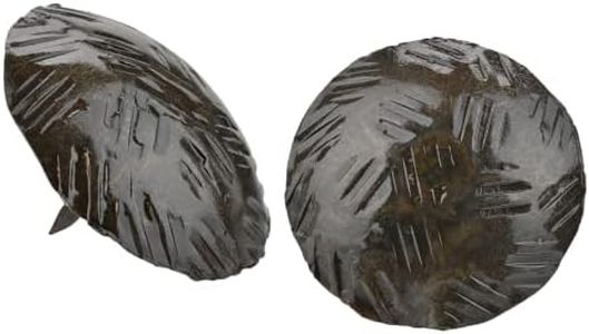 10 Pack 2" Large Round Head Clavos Decorative Nails – Sealed Unfinished – Handmade Rustic Round Fasteners for Farmhouse Shutter, Faux Wood, Barn Door, Shutters, and Gates – Ornamental Wood Accent