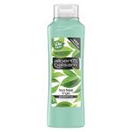 Alberto Balsam Tea Tree Tingle minty-fresh fragrance Invigorating Shampoo gentle cleansing hair care for all the family 350 ml