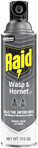 Raid Wasp 