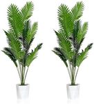 SAJANDAS Set of 2 Artificial Areca 