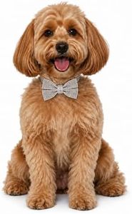 Festive Holiday Dog Bow Tie, Pet Collar Accessory Detachable (Rhinestone, Small)