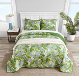 Tommy Bahama Quilt Set Reversible Cotton Bedding with Matching Shams, Lightweight Home Decor for All Seasons, Queen, Green/Sky Blue